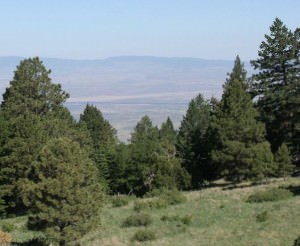 img-2
