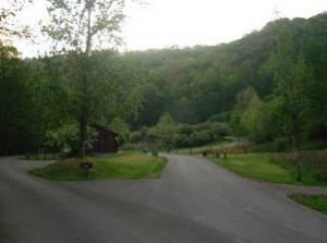 img-3
