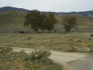 img-5