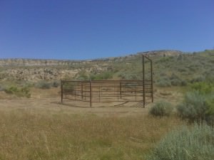 img-2