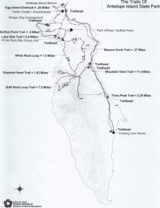 img-1