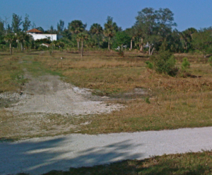 img-3