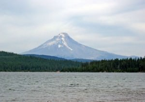 img-2