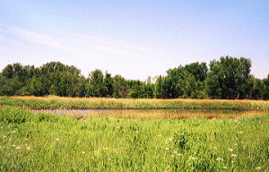 img-1