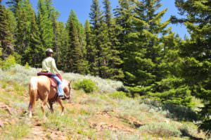 2009 06 28_haneymeadow_4310