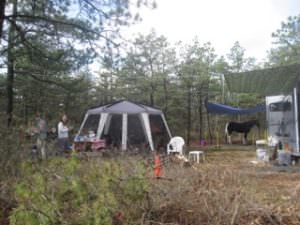 img-7