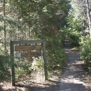img-4