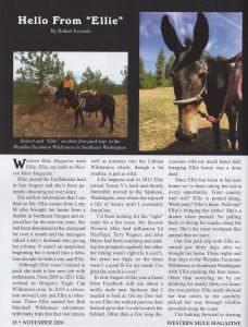 wm-nov-2016-1-1