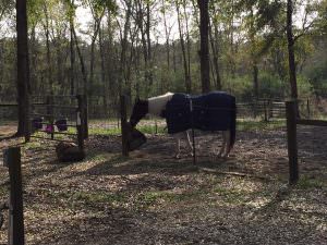 img-11