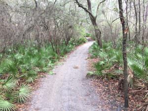 img-15