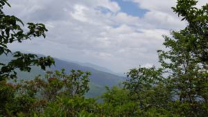img-3