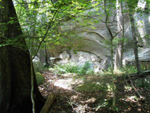 img-11