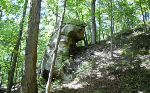 img-14