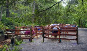 img-11