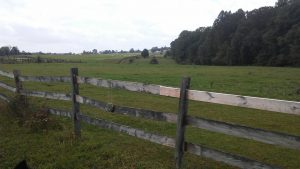 img-21