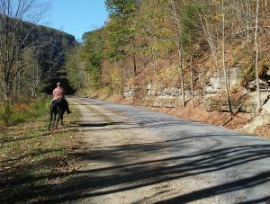 img-9