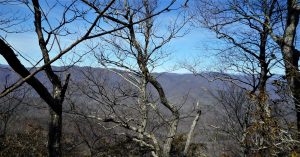 img-16