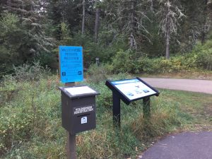 img-2