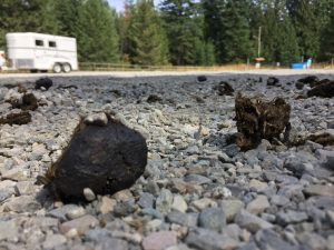 responsible trail use
