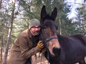 12 horse pre-purchase questions