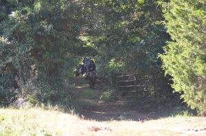 img-10